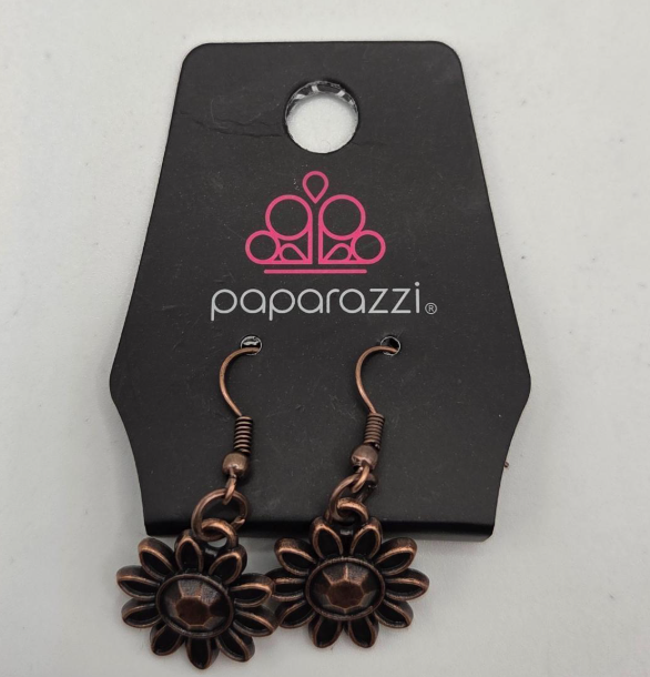 Paparazzi “Mess With The Bull” Necklace & Earring Set