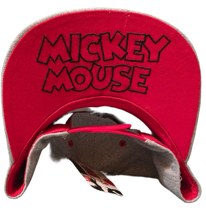 Mickey Mouse Hat